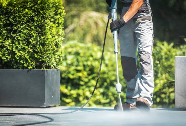 Best Solar Panel Cleaning  in Gas City, IN