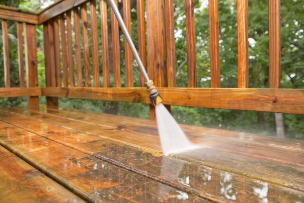 Best Dumpster Area Cleaning  in Gas City, IN
